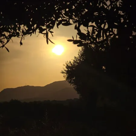 Campsite Agros Simple Living *